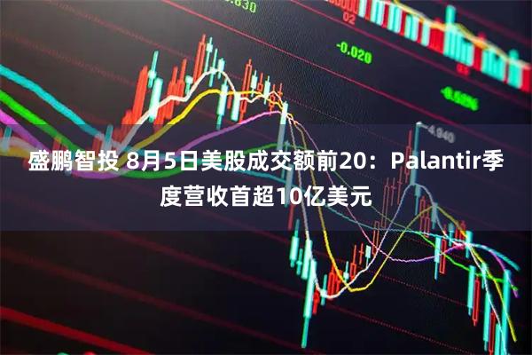 盛鹏智投 8月5日美股成交额前20：Palantir季度营收首超10亿美元