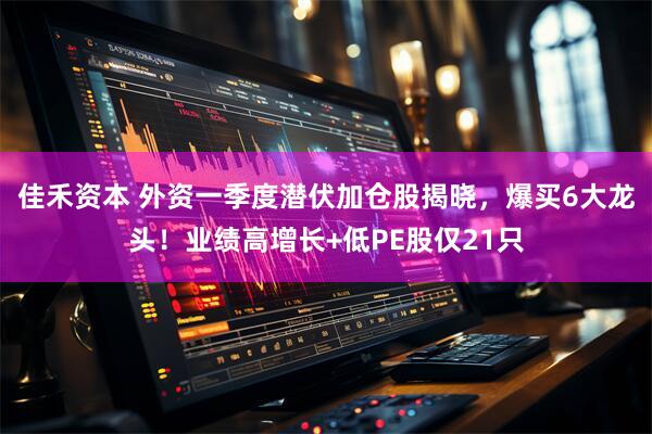 佳禾资本 外资一季度潜伏加仓股揭晓，爆买6大龙头！业绩高增长+低PE股仅21只