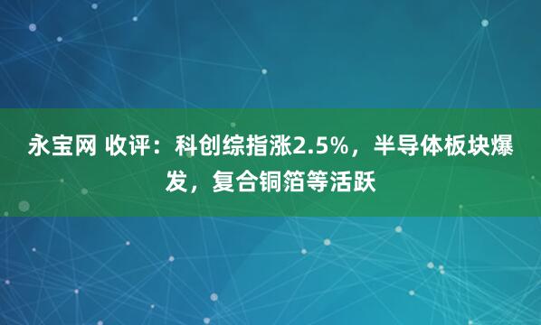 永宝网 收评：科创综指涨2.5%，半导体板块爆发，复合铜箔等活跃